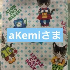 期間限定価格　コヤンイサムチョン　パターンシリーズ ローリー — image 1