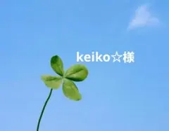 keiko☆様専用 — image 1