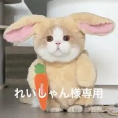 れいしゃん様専用 — image 1