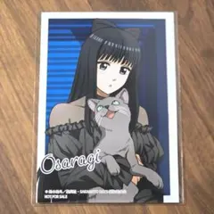 SAKAMOTO DAYS 大佛 猫と戯れver アニメイト特典 ブロマイド — image 1