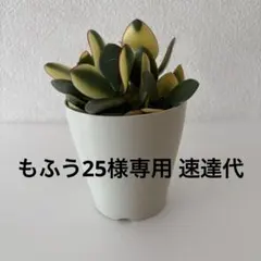 もふう25様専用 速達代 — image 1