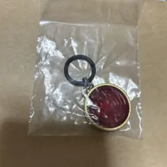 仮面ライダー　めじるしアクセサリー　BEST オーズ タカメダル — image 1