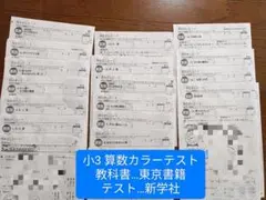 新学社 小学3年 算数 カラーテスト 東京書籍準拠 復習用 — image 1