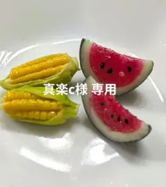 真楽c様 専用 — image 1
