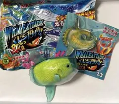 くじらアタック&co. アンドコ スーパーレア マンボウ　応募券付き — image 1