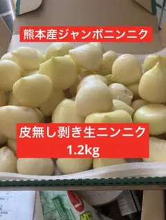 ジャンボニンニク　ニンニク　香味野菜　野菜　農薬不使用　農家直送 — image 1
