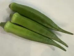 オクラ　30+10本追加 — image 1