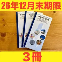 【最新即発送】近鉄グループHD株主優待 冊子3冊 施設利用割引など — image 1