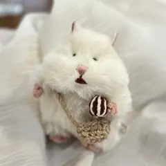 あめ☆こ様 リクエスト 2点 まとめ商品 — image 1