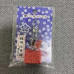 【未開封】桔梗屋 桔梗信玄餅 ミニチュアキーチェーン 赤 — image 1
