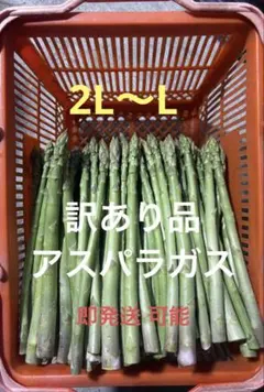 訳あり品 アスパラガス 500ｇ — image 1
