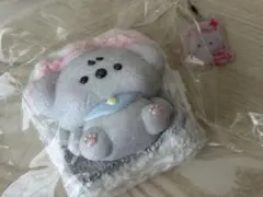 kikisquishy トースト コアラ — image 1