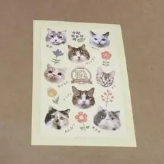 【非売品】猫カフェMOCHA 10周年記念ステッカー — image 1
