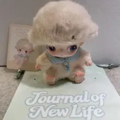 Journal of New Life ぬいぐるみ 新奇 Curiosity — image 1
