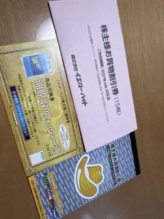 イエローハット 株主優待 — image 1