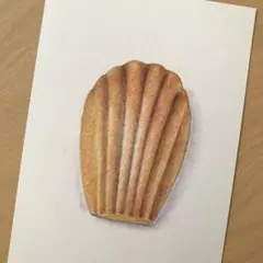 色鉛筆画　手描き原画　マドレーヌ — image 1