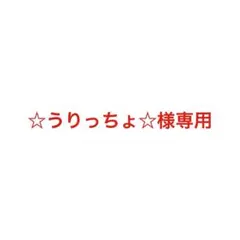☆うりっちょ☆様専用 — image 1