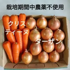 ★栽培期間中農薬不使用★人参 クリスティーヌ＆玉ねぎ ターザン — image 1