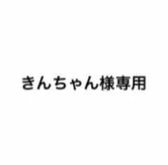 きんちゃん様専用 — image 1