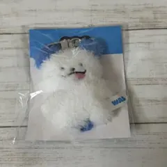 LUCY 루시 ワルワル　walwal 왈왈이　ぬいぐるみ　キーホルダ — image 1