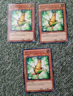 遊戯王　モロコシーナ　3枚　ノーマル — image 1