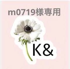 m0719様専用 — image 1