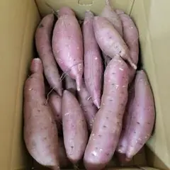 S様専用 サツマイモ — image 1