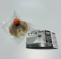 芝犬ヶ丘(しばいぬがおか) 2丁目の芝犬 紅葉Ver. — image 1