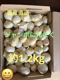 ジャンボニンニク(特価6/30迄) — image 1