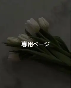 HSK様 専用 — image 1