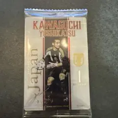 サッカー日本代表　川口能活 — image 1