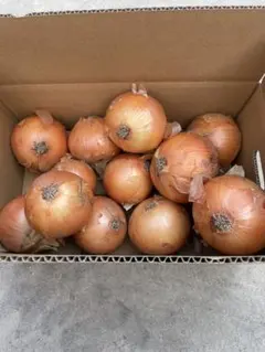 [農家直送]送料無料 淡路島産 玉ねぎ ターザン ５kg （箱込）☆秀品☆ — image 1