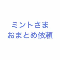 ミント／値下げ️⭕️様 リクエスト 2点 まとめ商品 — image 1