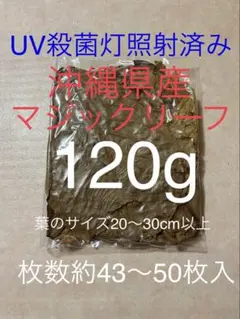 沖縄県やんばる産マジックリーフ 120g 43〜50枚入 UV殺菌灯照射済み① — image 1