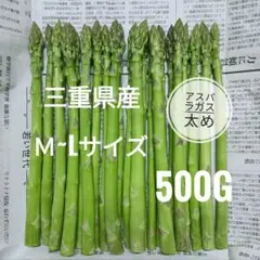 農家直送 三重県産 アスパラガス M~Lサイズ 500g — image 1