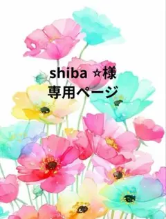 ❤shiba︎ ⭐︎様専用ページ❤ — image 1
