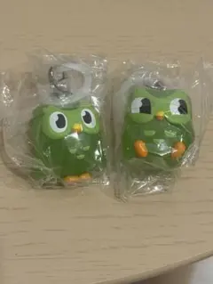 Duolingo めじるしアクセサリー — image 1