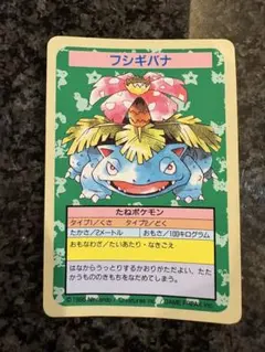 ポケモンカード　フシギバナ　トップサン エラー　番号なし　青版 — image 1