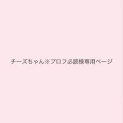 チーズちゃん※プロフ必読様専用ページ 赤 金⑤ — image 1