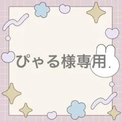 ぴゃる様専用 — image 1