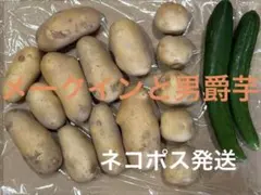 新鮮野菜セット じゃがいも きゅうり — image 1