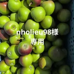 nholieu98様 専用 青りんご — image 1