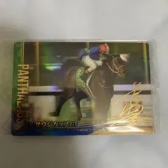パンサラッサ サウジカップ G1 金色箔入り — image 1
