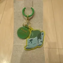 ポケモン　ポケチャーム　Poke-Charm カラーマスコット フシギダネ — image 1