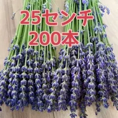 aoirӦ様 リクエスト 2点 まとめ商品 — image 1