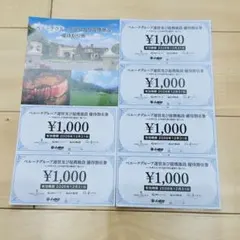 ベルーナグループ　優待割引券　株主優待　6000円分 — image 1