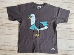 MULGA Tシャツ コットン100% — image 1