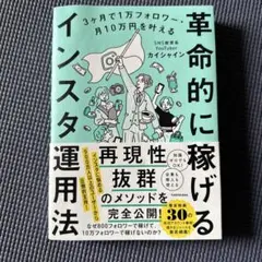 3ヶ月で1万フォロワー・月10万円を叶える 革命的に稼げるインスタ運用法 — image 1