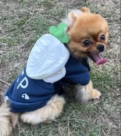 DOD ニンジンフォーザドッグ CIAOPANICTYPY 犬用リュック 黒 — image 1