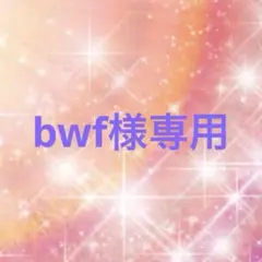 bwf様専用(発送方法変更分) — image 1